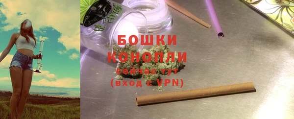 PSILOCYBIN Кулебаки