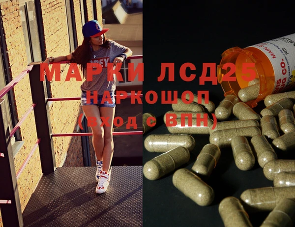 PSILOCYBIN Кулебаки