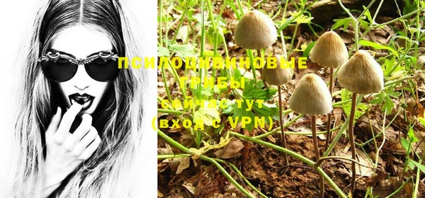 PSILOCYBIN Кулебаки