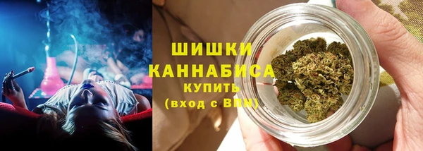 PSILOCYBIN Кулебаки